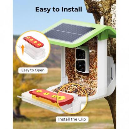 How to Make a Bird Feeder – And When to Buy Rather Than Build