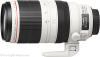 Canon EF 100-400mm f/ 4.5-5.6 L IS II USM