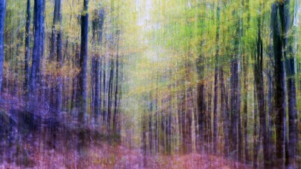 Wie wähle ich einen ND Filter aus?