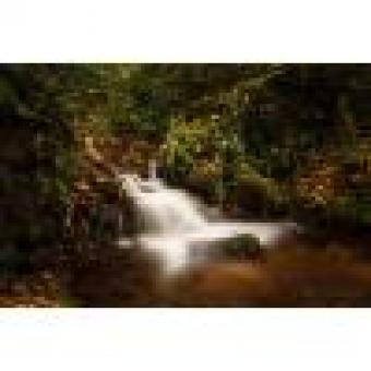 K&F Concept ND Filter Bewertungen