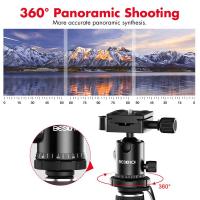 Kann Man Mit Der Dji Mini 2 Hochkant Filmen ?