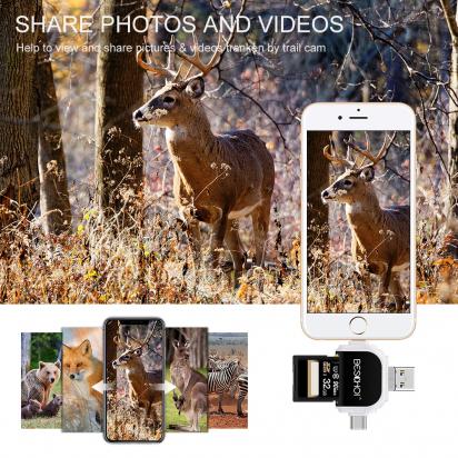 Tengo La Tarjeta Sd Como Memoria De Movil ?