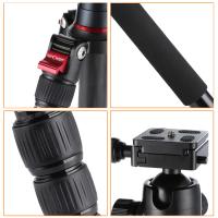 Ist Reolink Kostenlos ?