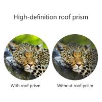 Welches Fernglas Ist Besser 8x42 Oder 10x42 ?