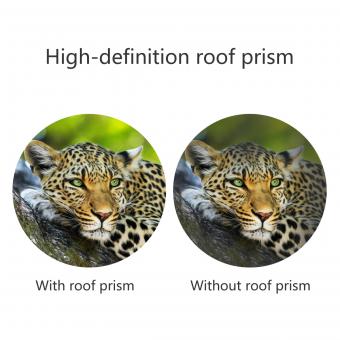 Welches Fernglas Ist Besser 8x42 Oder 10x42 ?