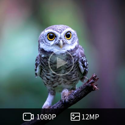 Como Buscar Bluetooth Linkwitz Auriculares ?