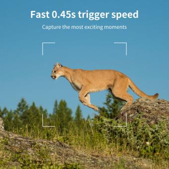 Como Conectar Cw10 Wd Mini Dron ?