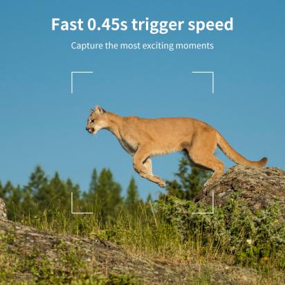 Como Conectar Cw10 Wd Mini Dron ?