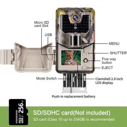 Cosa Serve Il Filtro Polarizzatore Sigma 17_70 ?