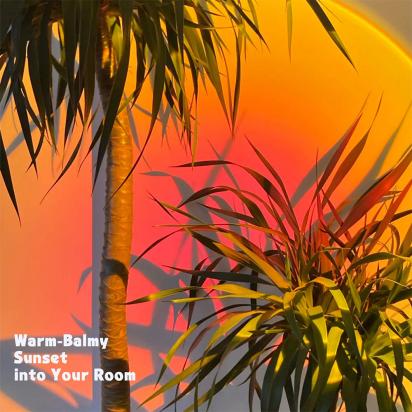 Dove Si Vendono Le Macchine Fotografiche ?