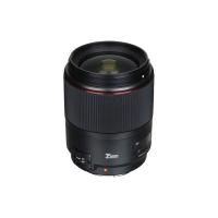 Can I Use Rechargeable Batteries In Wildlife Cameras ?