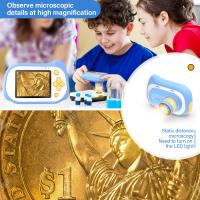 What Is 80x100 Magnification ?