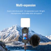 What Port Do Hdv Camcorders Use?