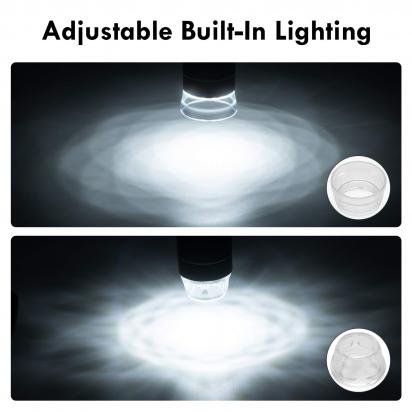 What Does Penicillin Look Like Under A Microscope ?