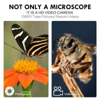 How To Enable Usb Endoscope On Galaxy S8 ?