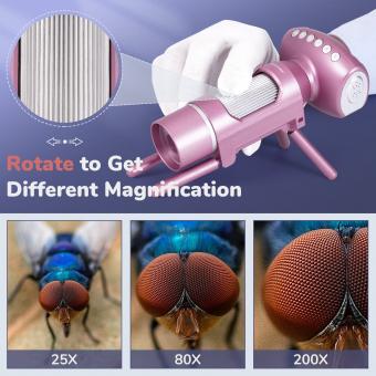 Welche Digitalkamera Hat Den Besten Zoom ?