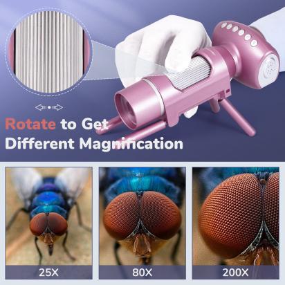 How To Estimate Size Of Specimen Under Microscope ?