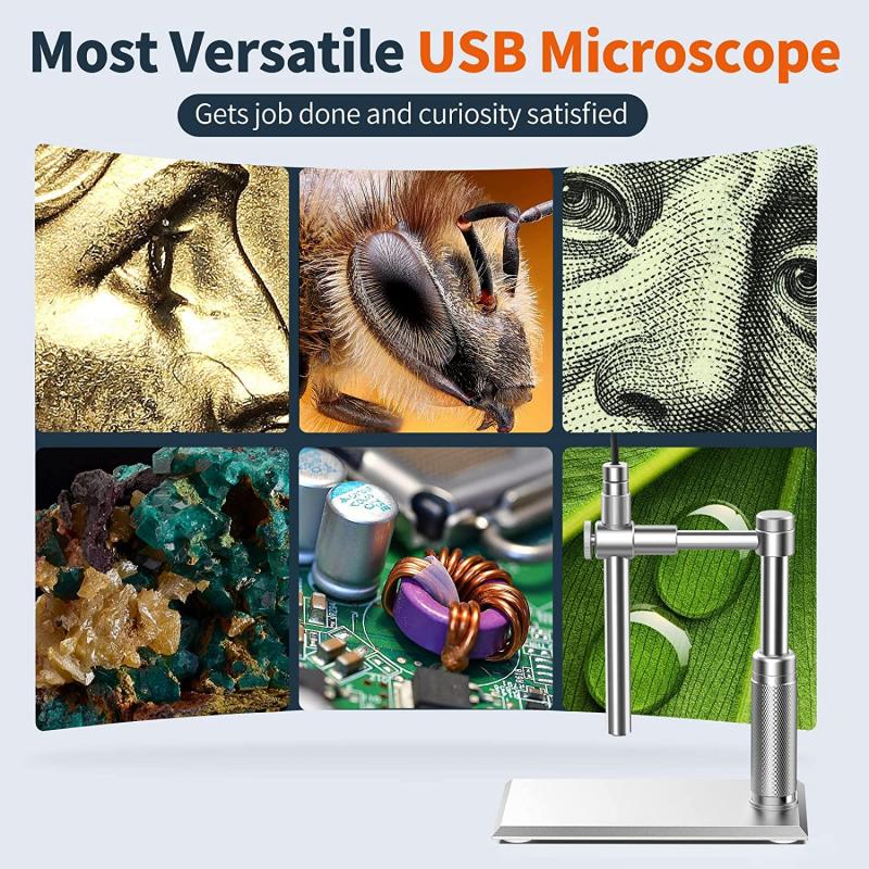 Resolution: The level of detail and clarity in the microscope's images.