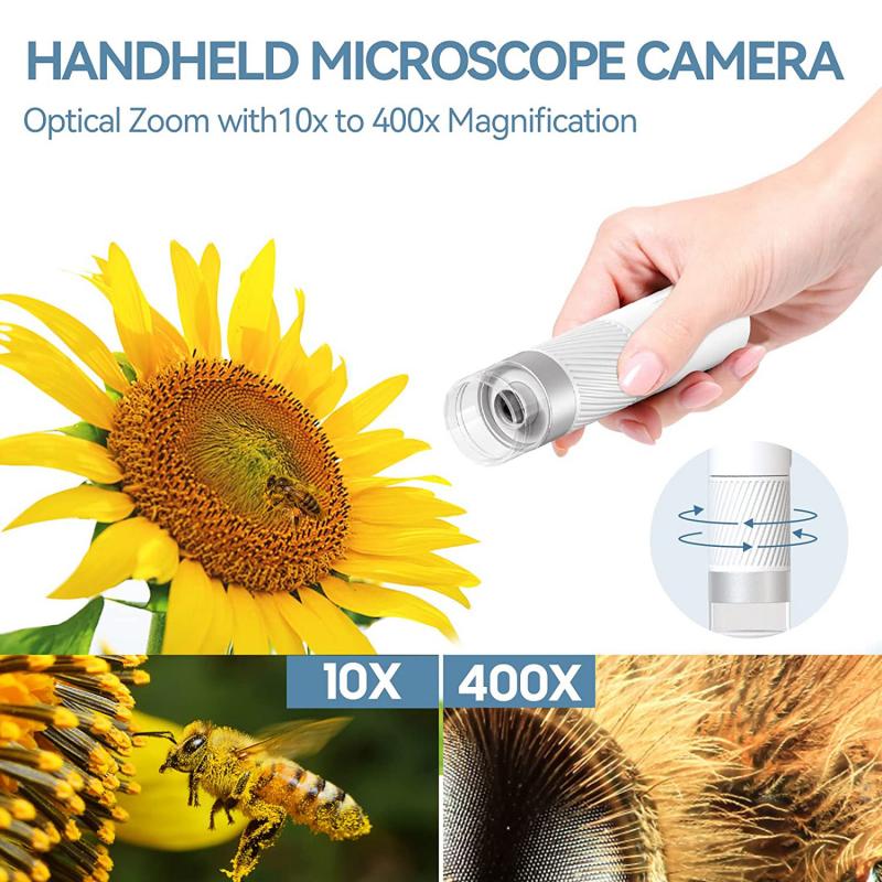 ¿qué función cumple la lupa en un microscopio casero 4