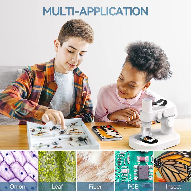 ¿qué función cumple la lupa en un microscopio casero 2