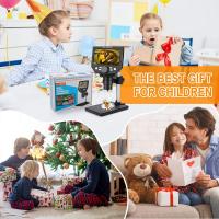 How To Identify Fungi Under Microscope ?