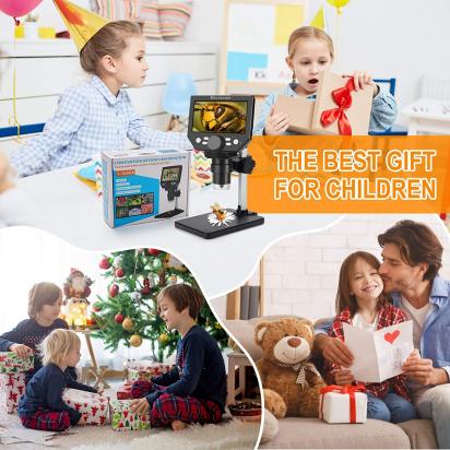 How To Identify Fungi Under Microscope ?