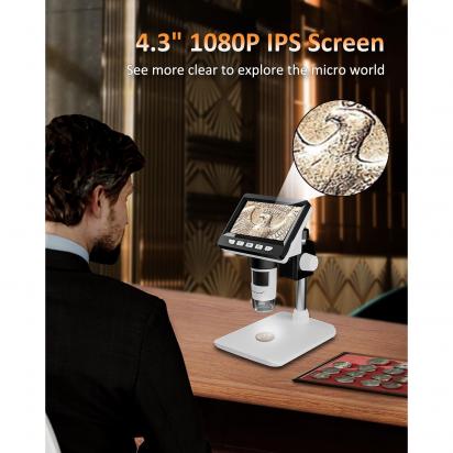 Microscopio 600x Cosa Vedo ?