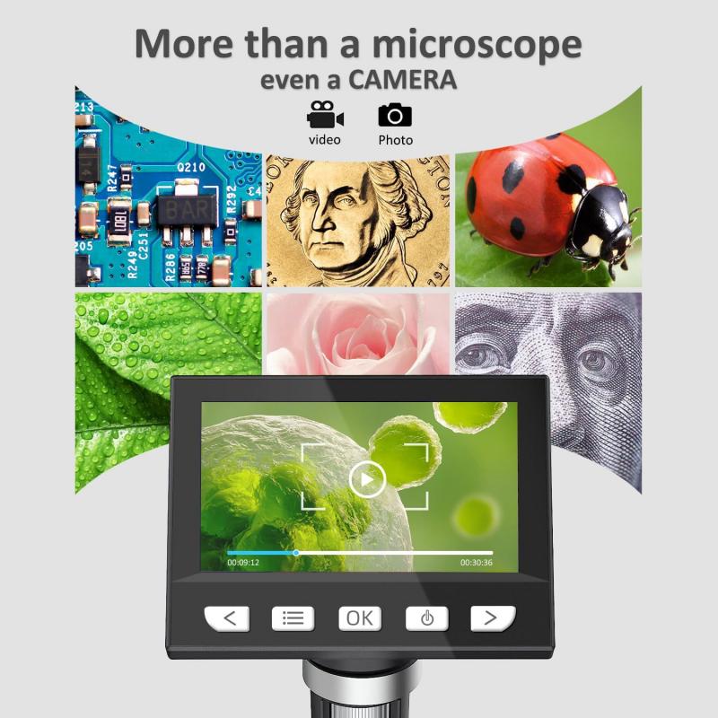 - Cosa si può osservare con il microscopio 600x