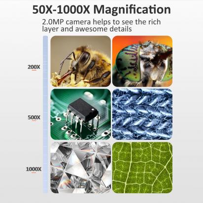 What Are The Precautions When Using A Microscope ?