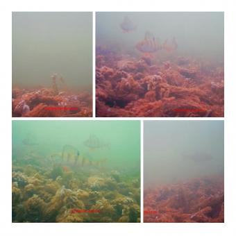 Wie Nennt Man Die Kopfhörer Ohne Kabel ?