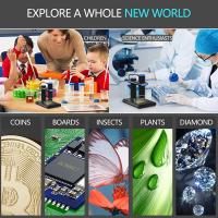 How Does Elf Surveillance Camera Fix On Ceiling ?