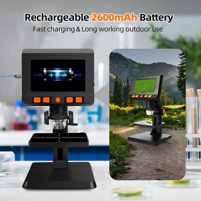 What Can I See With 1000x Microscope ?