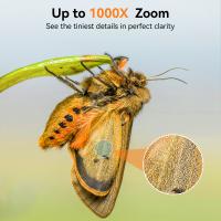 What Do You Use Microscope For ?