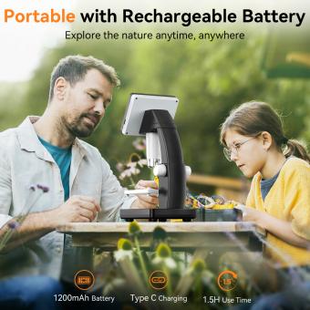 Wie Funktioniert Die Vergrößerung Beim Mikroskop?