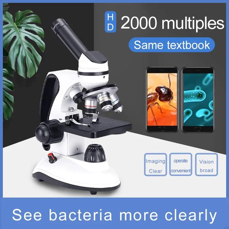 Adjusting Microscope Settings for Bacterial Observation