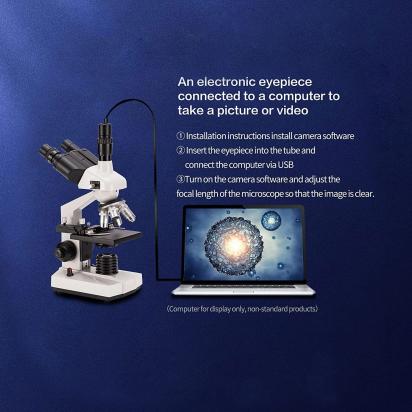 Mikroskop Optyczny Czy Cyfrowy?