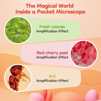 Wie Ist Das Licht Einer Led?