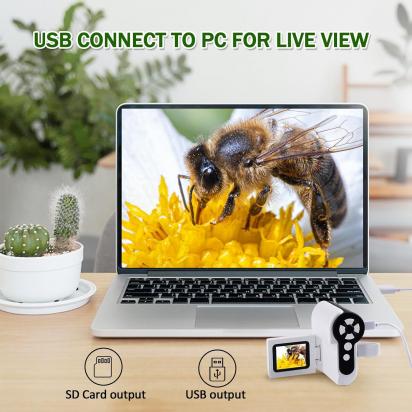 ¿qué Diferencia Hay Entre Microscopio Y Lupa?