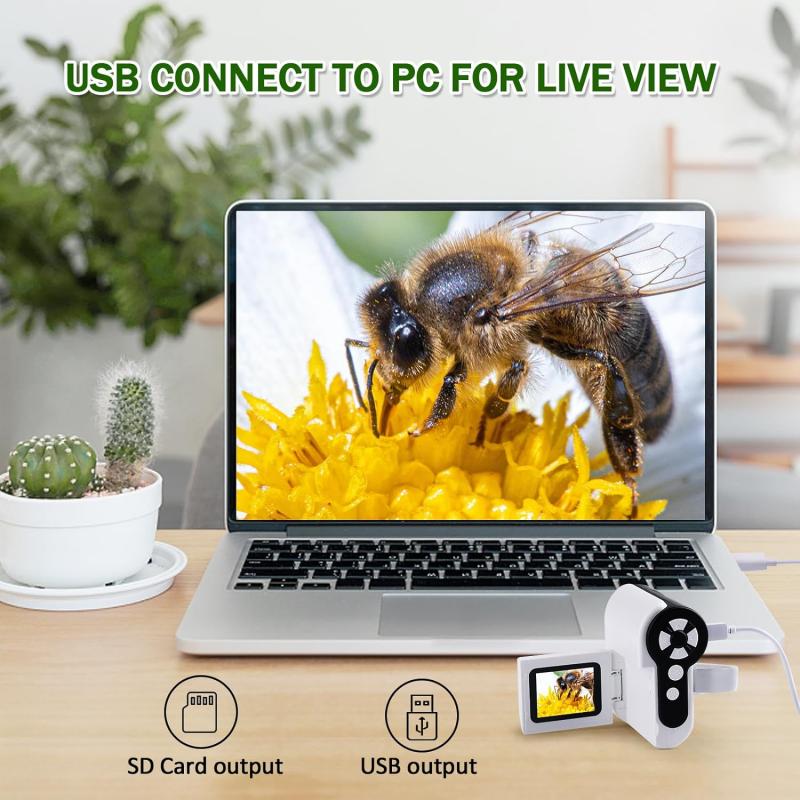 como tomar fotos en microscopio 2