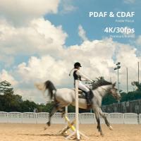 How Do Transmission Electron Microscopes Work ?