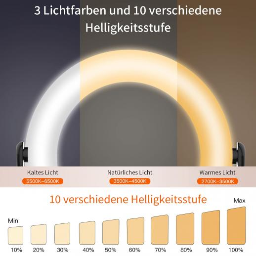 HOMEASY Anneau Lumineux LED Anneau Lumière Réglable pour Selfie Kit d'éclairage de Vidéoconférence pour Ordinateur Portable Télétravai,etc. Ring Light avec Clip 