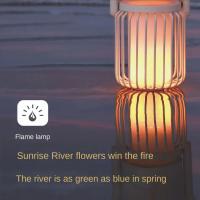 ¿qué Tipo De Tela Se Puede Usar Para Un Proyector?