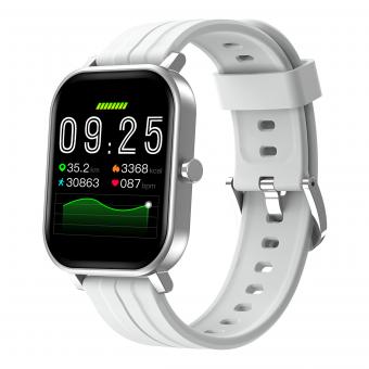 S10 Smart Watch, 1.69 inch Square Screen Smart Watch Blood Oxygen Heart Rate Blood Pressure Waterproof Sports Step Meter, Silver Gray