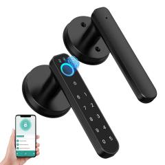 CG002 vingerafdrukherkenning wachtwoord deurslot, met wachtwoord toetsenbord sleutelloze ingang deurgreep, met graffiti app, geschikt voor slaapkamers, familiehotels, kantoorappartementen, zwart