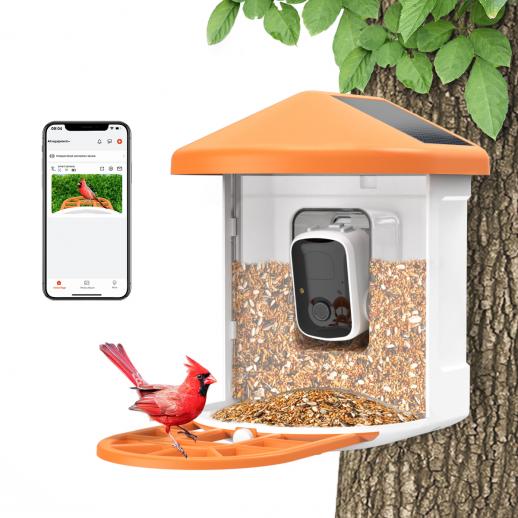 Caméra intelligente d'alimentation d'oiseaux, ai reconnu automatiquement les oiseaux, image HD 1080p, charge solaire