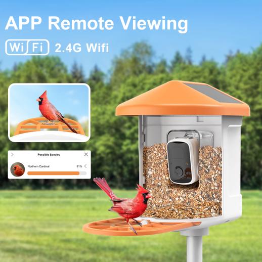 Caméra intelligente d'alimentation d'oiseaux, ai reconnu automatiquement  les oiseaux, image HD 1080p, charge solaire