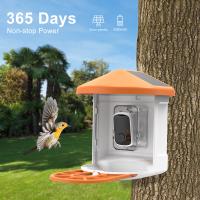 Where Can I Buy Lowepro Camera Bags ?