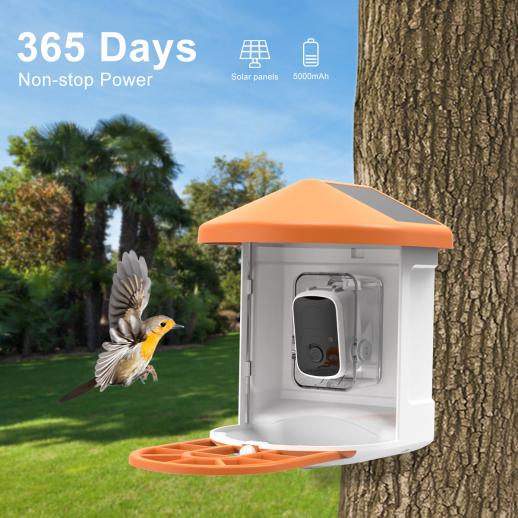 Mangeoire à Oiseaux Solaire avec Caméra Capture Automatique Extérieure  1080P Nichoir Vidéo AI-Smart Identifier Les Espèces d'oiseaux Notification  de