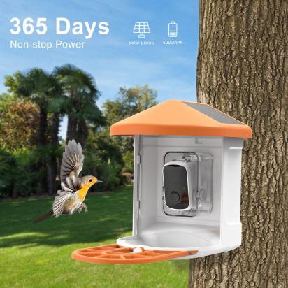 Where Can I Buy Lowepro Camera Bags ?