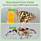 2.4" Ekranlı El Mikroskobu, 500X Büyütme, 1080P Fotoğraf & Video Çekimi, 3-12 Yaş Arası Kız ve Erkek Çocuklar İçin, Kentfaith